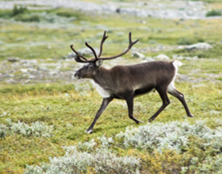 Screen Shot 2017 04 25 at 11.27.14 PM