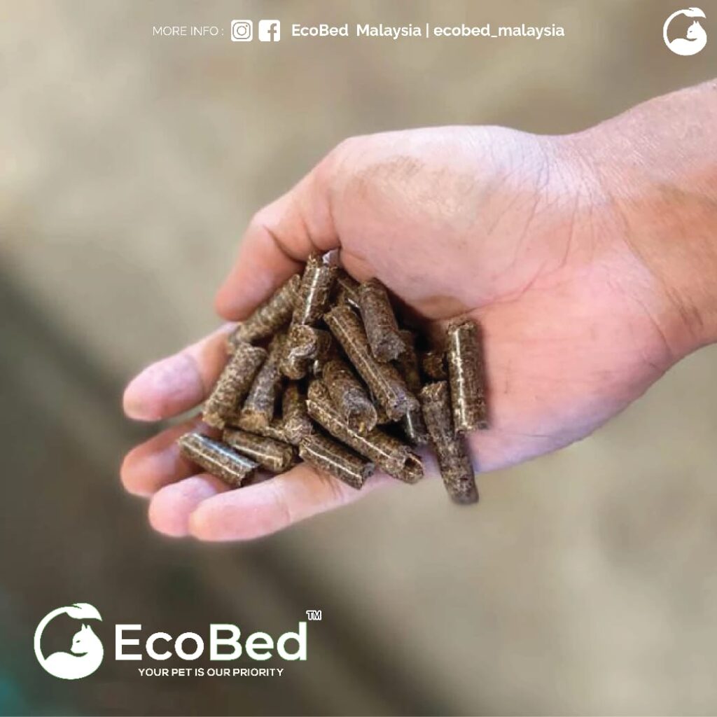 Pasir Kucing EcoBed 100 peratus organik: Mesra Haiwan, Mesra Manusia dan Mesra Alam